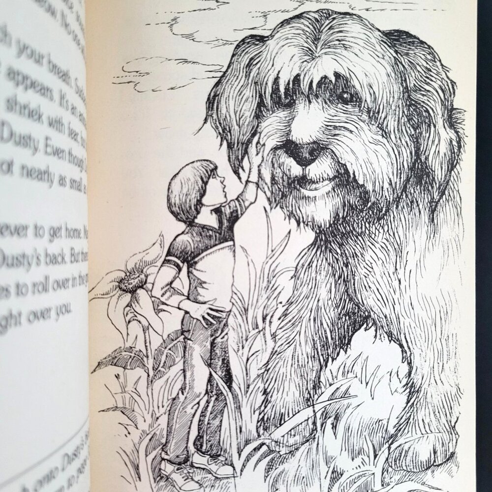 VINTAGE CHOOSE YOUR OWN ADVENTURE 1980s LOT OF 12 BOOKS SOME RARE 1ST EDITIONS - Picture 15 of 16